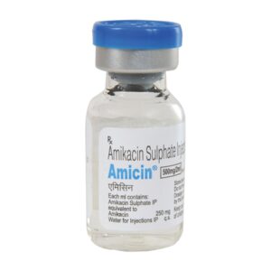 Amicin